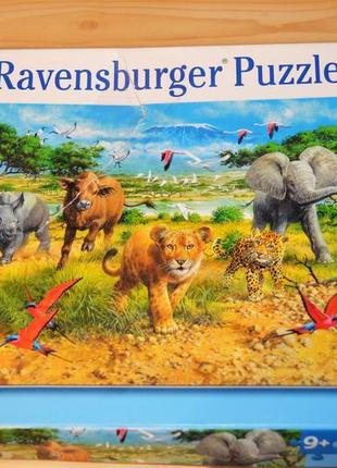 Пазл на 300 деталей світ диких тварин, ravensburger