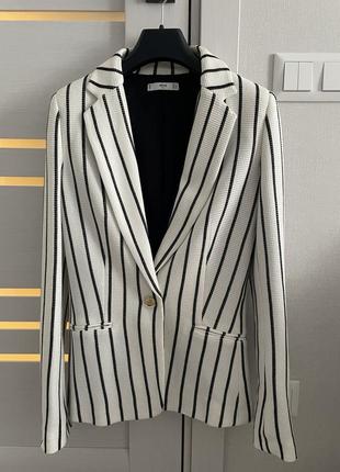 Новий піджак від mango