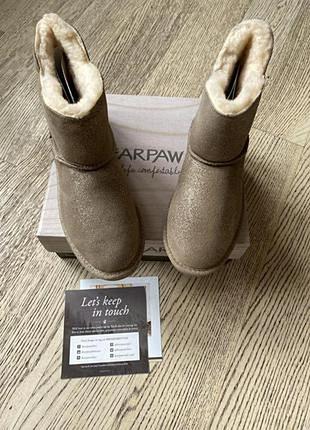 Зимові чобітки угі bearpaw