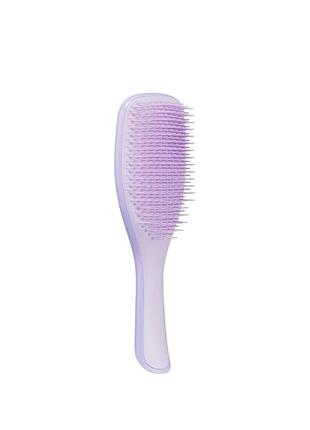 Щітка для волосся tangle teezer the wet detangler fine & fragile hypnotic heather