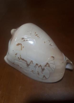 Ракушка с гравировкой "козерог" морская океаническая