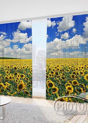 3d фотоштори «соняшники під блакитним небом» на замовлення, 1 м²