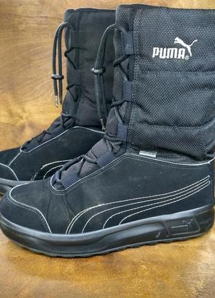 puma goretex 37