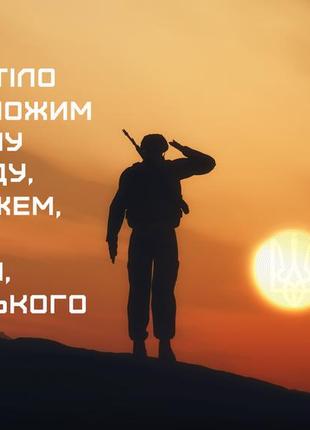 Полотно на підрамнику з патріотичним принтом "душу тіло ми положим за нашу свободу і покажемо.....