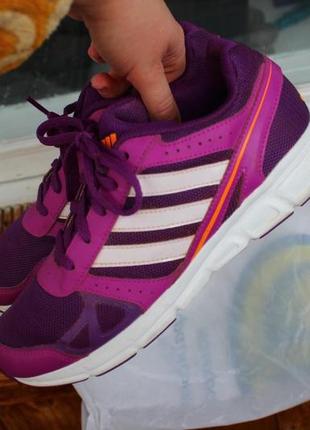 Кросівки adidas
