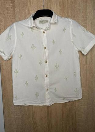Рубашка с кактусами zara2 фото