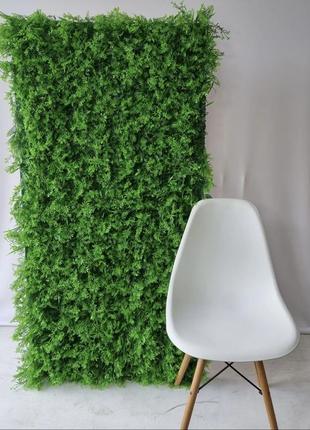 Фіто модуль трава пано з зелені