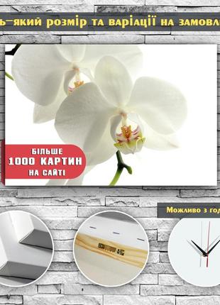 Картина орхидеи белые на белом светлом фоне фотопечать на холсте 60х40