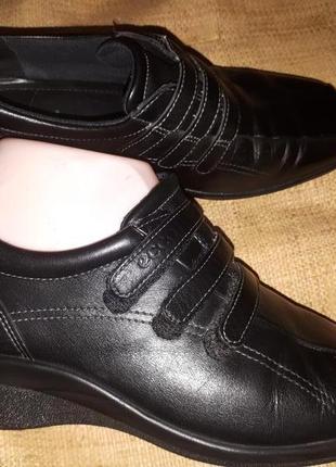 36р-23.5 ессо шкіра туфлі