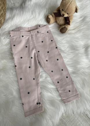 Лосіни, лосини, штанці