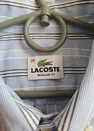 Мужская рубашка lacoste оригинал4 фото