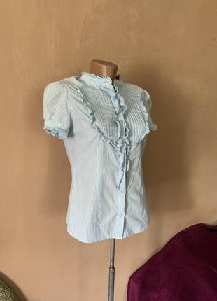Ніжна блуза сорочка сорочка котон