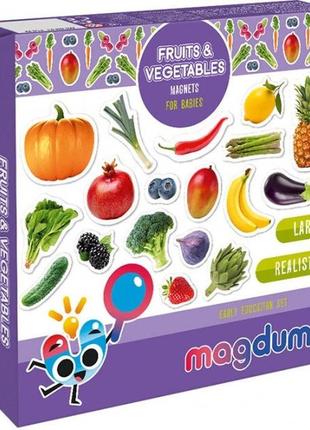 Набір магнітів magdum "фрукти і овочі" ml4031-15 en