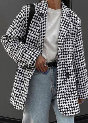 Піджак у клітинку