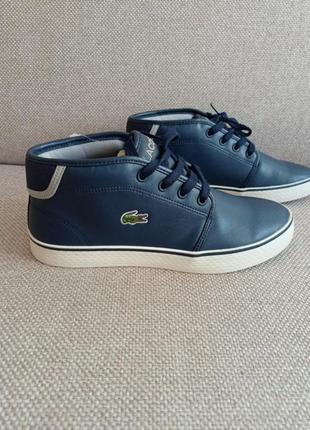 Черевики кеди lacoste ampthill 119/ розм.37 оригінал