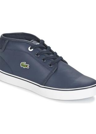 Черевики кеди lacoste ampthill 119/ розм.37 оригінал2 фото