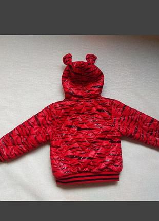Деми курточка на девочку,куртка кошечка 2
