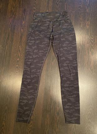 Лосіни лосины