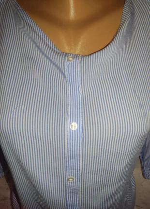 Женская блузка, голубая, 443 фото