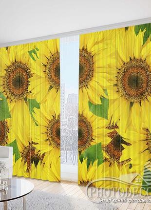 Фото штори "соняшники 1" 2,5 м*2,6 м (2 полотна по 1,30 м)