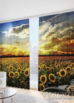 Фото шторы "подсолнухи на закате 1" 2,5м*2,6м (2 полотна по 1,30м)