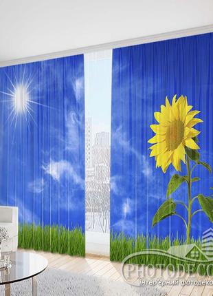 Фото шторы "подсолнух в траве" 2,5м*2,6м (2 полотна по 1,30м)1 фото