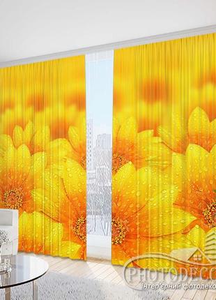 Фото штори "краплі води на соняшниках" 2,5 м*2,6 м (2 полотна по 1,30 м)