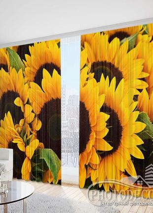 Фото штори "соняшники крупним планом" 2,5 м*2,6 м (2 полотна по 1,30 м)