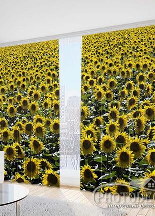 Фото шторы "поле подсолнухов" 2,5м*2,6м (2 полотна по 1,30м)
