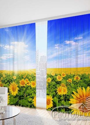 Фото шторы "поле с подсолнухами на солнце" 2,5м*2,6м (2 полотна по 1,30м)