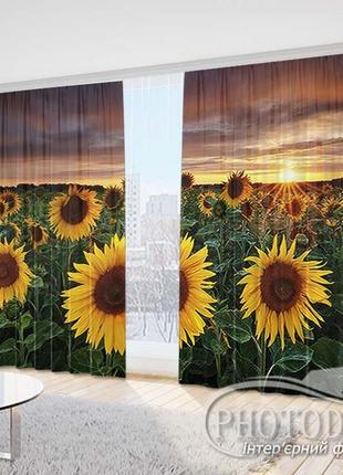 Фото штори "полі з соняшниками на заході" 2,5 м*2,9 м (2 полотна по 1,45 м)