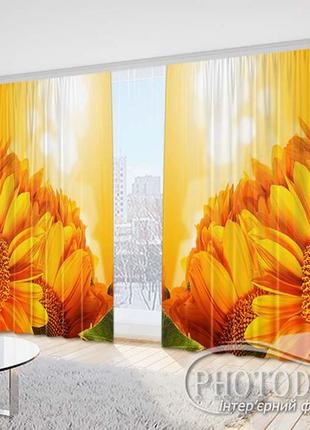 Фото штори "яскраві соняшники 3" 2,5м*2,9м (2 полотна по 1,45м)