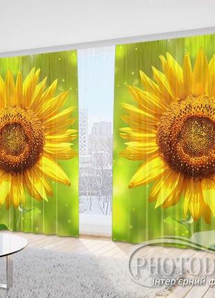 Фото штори "соняшник на салатовому фоні" 2,5 м*2,9 м (2 полотна по 1,45 м)