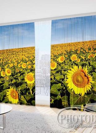 Фото штори "поле із соняшниками 1" 2,5м*2,9м (2 полотна по 1,45м)