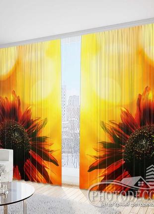 Фото штори "соняшник 2" 2,5 м*2,9 м (2 полотна по 1,45 м)