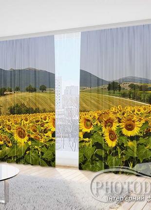 Фото шторы "поле с подсолнухами 3" 2,5м*2,9м (2 полотна по 1,45м)1 фото