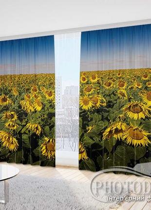 Фото штори "полі з соняшниками" 2,5 м*2,9 м (2 полотна по 1,45 м)
