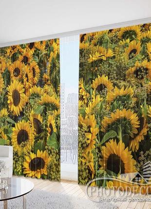 Фото шторы "подсолнухи 2" 2,5м*2,9м (2 полотна по 1,45м)