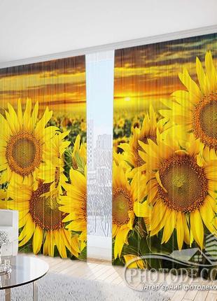 Фото штори "соняшники на сході" 2,5 м*2,9 м (2 полотна по 1,45 м)