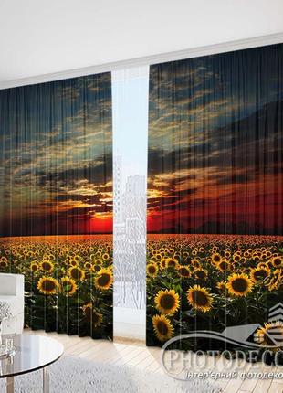 Фото шторы "подсолнухи на закате 2" 2,5м*2,9м (2 полотна по 1,45м)