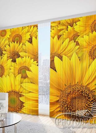 Фото штори "соняшники" 2,5 м*2,9 м (2 полотна по 1,45 м)