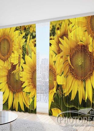 Фото шторы "яркие подсолнухи 1" 2,5м*2,9м (2 полотна по 1,45м)1 фото