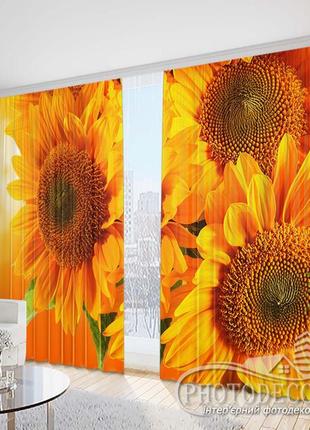 Фото штори "яскраві соняшники" 2,5 м*2,9 м (2 полотна по 1,45 м)