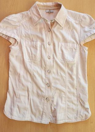 Классическая офисная рубашка блуза next (10/m)