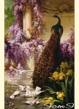 062 павич і голуби