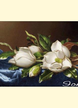 066 магнолії на синьому оксамиті