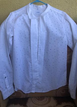 Жіноча сорочка, блуза