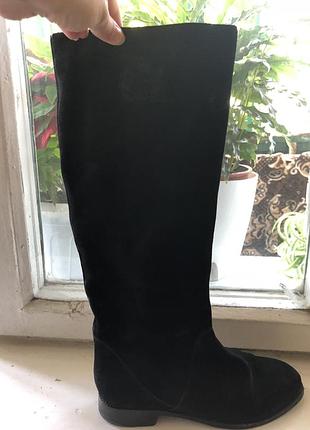 Сапоги carlo pazolini