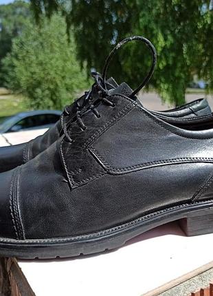 Комфортные кожаные туфли claudio conti