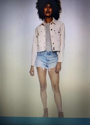 Levis шорти